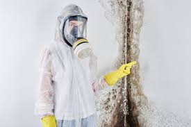 Reliable Rosemead, CA Mold Remediation Solutions